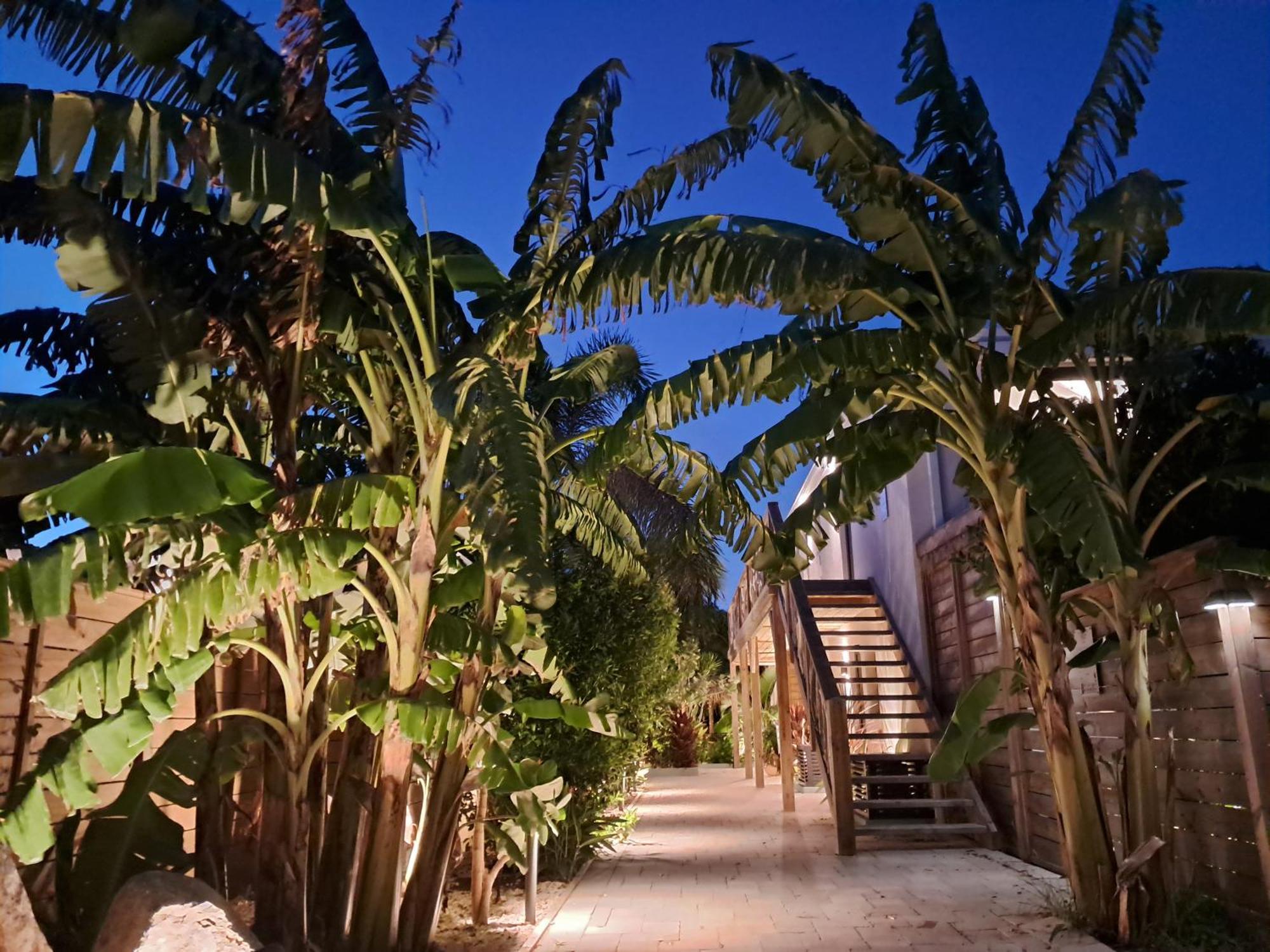 The Forest - Saint Martin 4 Etoiles Cul de Sac Exterior foto